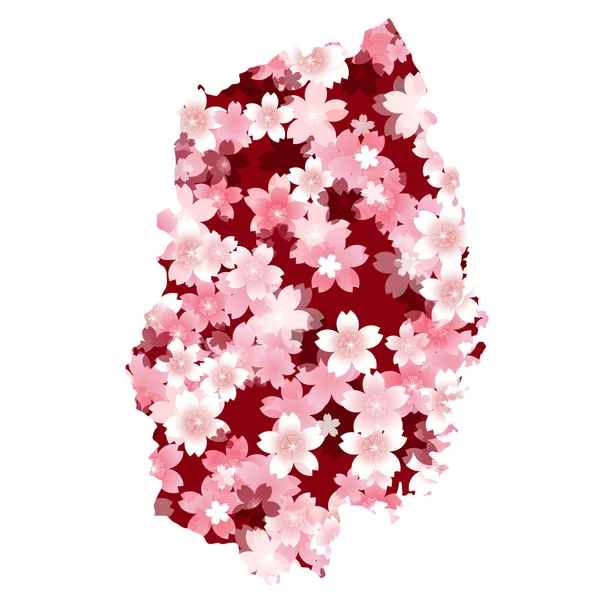 Iwate　spring cherry blossoms